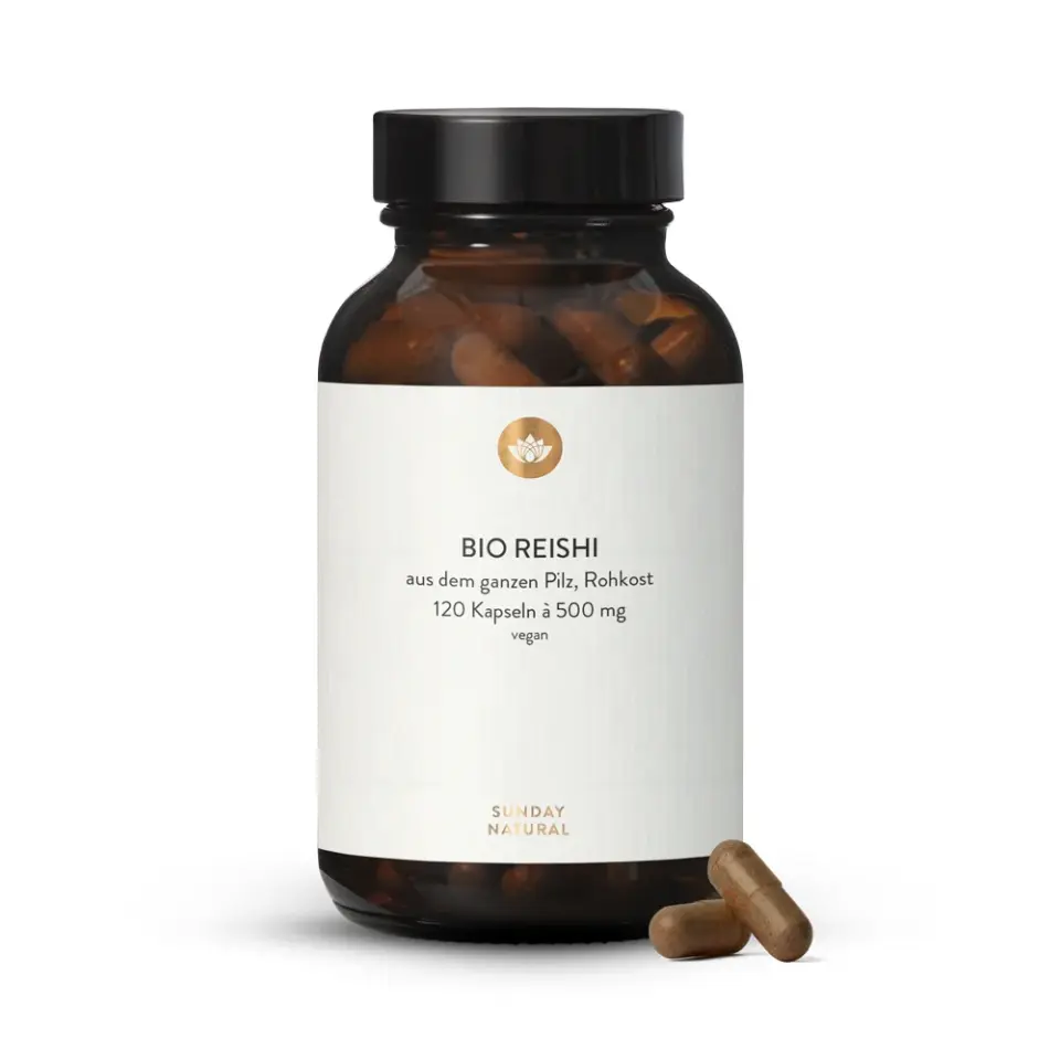 Bio Reishi Kapseln 500mg, Rohkost