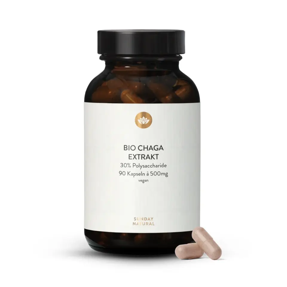 Bio Chaga Extrakt 30% Polysaccharide