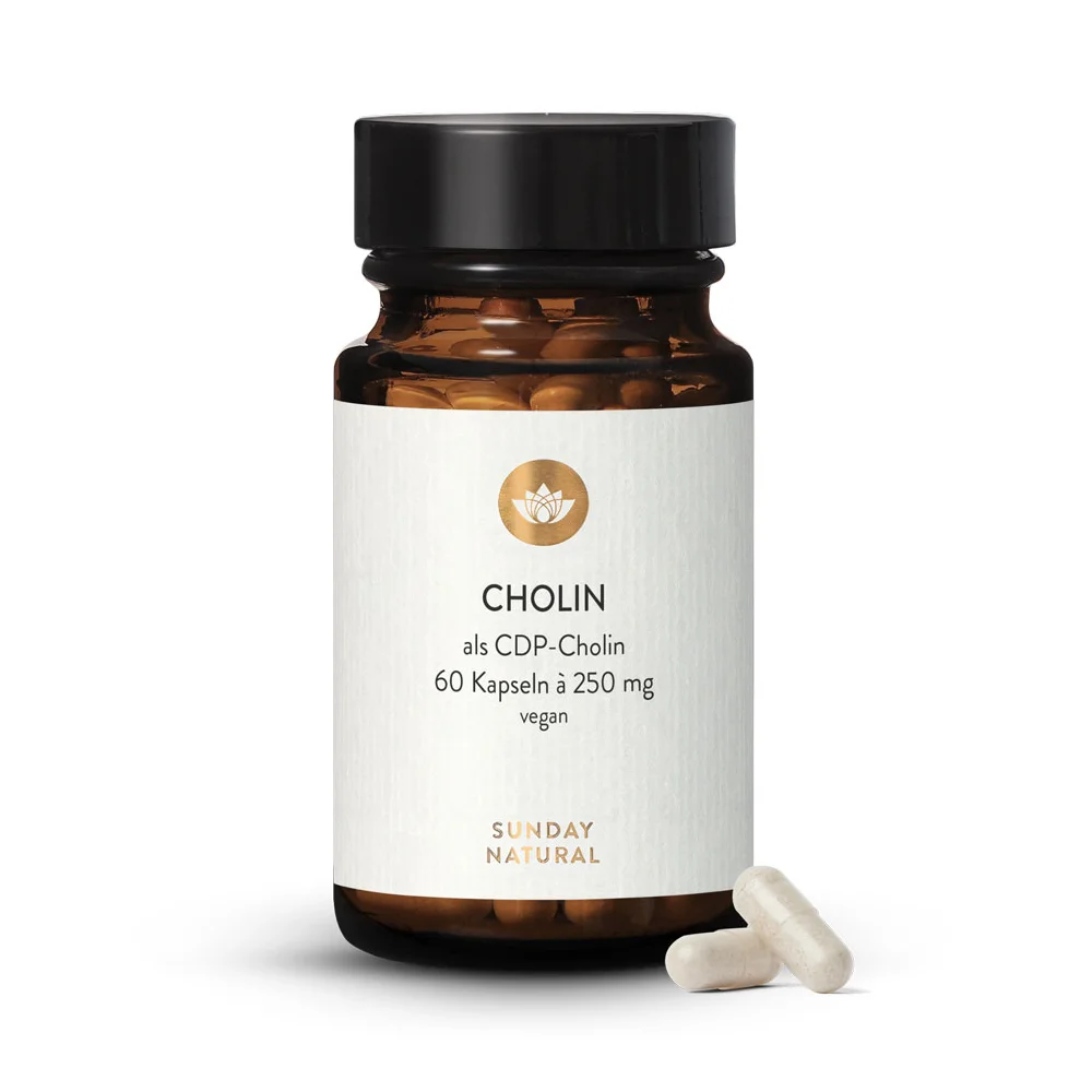 cdp Cholin kapseln 250mg