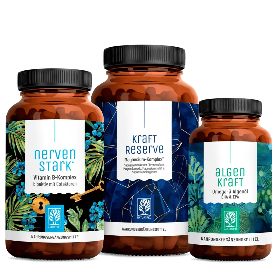 durchstarter paket magnesium & vitamin b komplex & omega 3