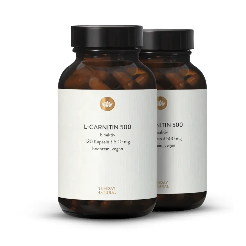 L-Carnitin 500mg Kapseln Vorteilsset