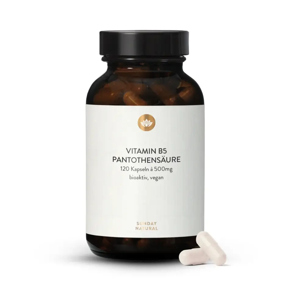 Vitamin B5 Pantothensäure 500mg Hochdosiert